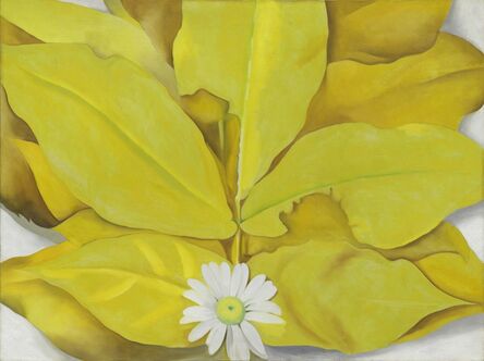 Georgia O’Keeffe, ‘Yellow Hickory Leaves with Daisy’, 1928