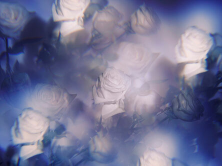 Indira Cesarine, ‘Les Roses Violettes’, 2020