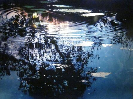 David T. Kessler, ‘Blossoms In Lace’