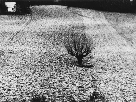 Mario Giacomelli, ‘Storie di terra’, 1983