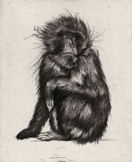 Hugo Wilson, ‘Goodbye to Monkeys I-IV’, 2017