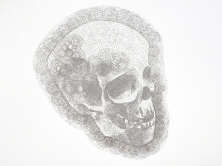 Walter Oltmann, ‘Child Skull I’, 2015