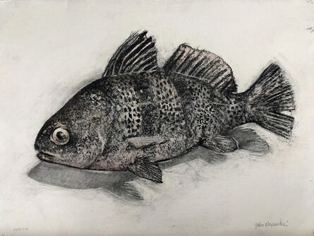 John Alexander, ‘Black Drum Fish’, 2014