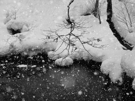 Wenlong Ye, ‘Winter Snow #18’, 2019