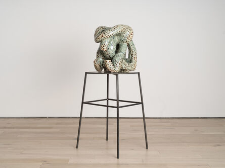 Pernille Pontoppidan Pedersen, ‘Donna's octopuskin (tentacular thinking)’, 2022