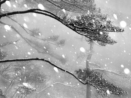 Wenlong Ye, ‘Winter Snow #9’, 2018