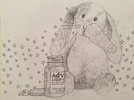 Amy Silver, ‘advil  & a bunny’, 2016