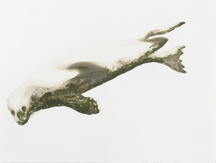 Alexis Rockman, ‘Harbor Seal (Phoca vitulina)’, 2014