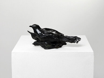 Dorothy Cross, ‘Conglomerate (birds)’, 2008