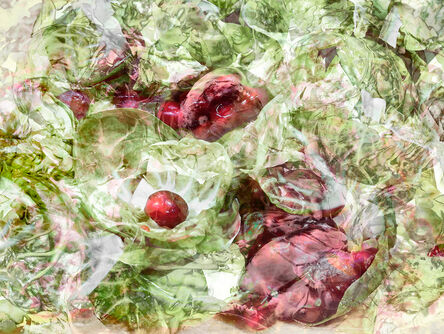 Julie Brook Alexander, ‘Brussel Sprouts and Pomegranate Seeds’, 2019