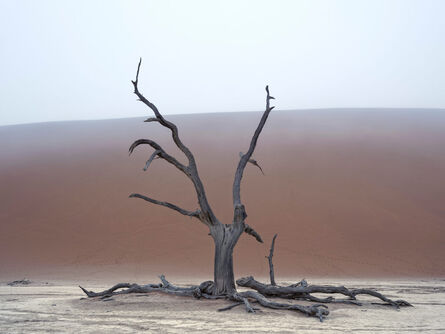 Paolo Pellegrin, ‘Namib-Naukluft National Park. Namibia’, 2022