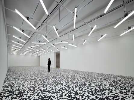 ‘Installation view "Field Conditions"’, 2012