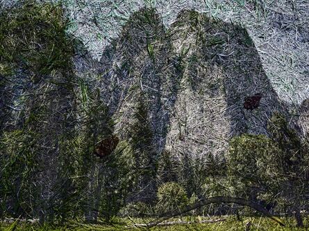 Abelardo Morell, ‘Tent Camera Image on Ground: View of Cathedral Rocks from El Capitan Meadow, Yosemite National Park’, 2012