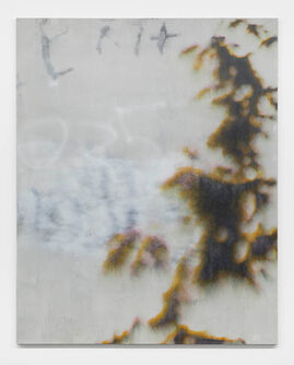 Ivan Comas, ‘"Not the last time"’, 2015