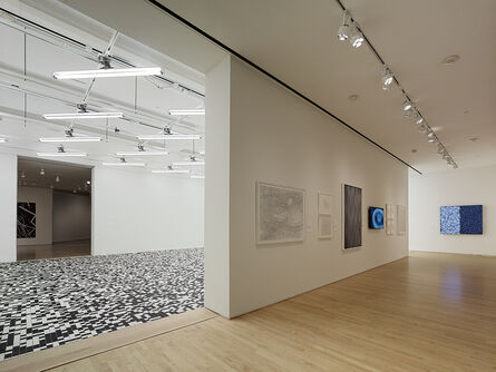 ‘Installation view "Field Conditions"’, 2012
