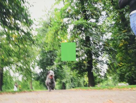 David Thomas, ‘Dogs of London Series 2 (Green 1)’, 2009-2010
