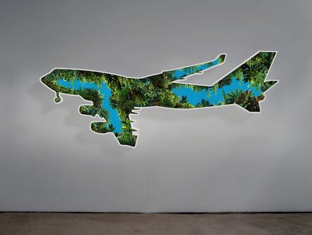 Doug Aitken, ‘Jungle Plane’, 2017
