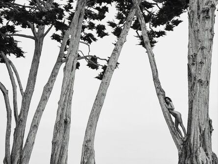 Russell James, ‘Kendall in Treetops, Santa Barbara’, 2018