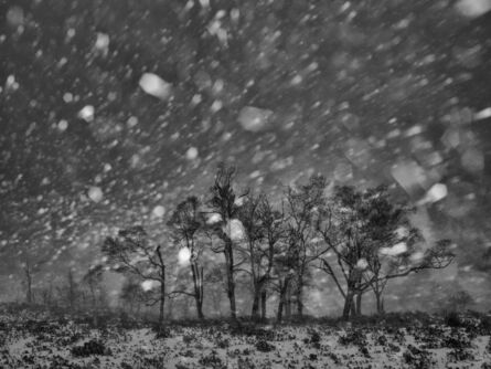 Wenlong Ye, ‘Winter Snow #16’, 2019