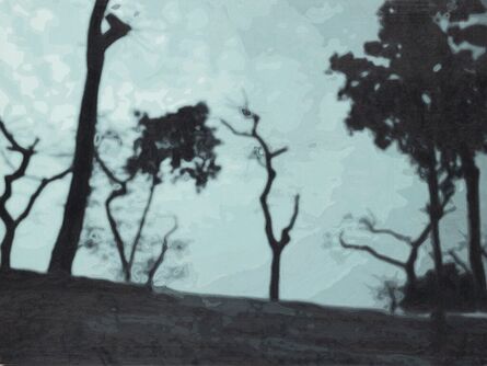 Yan Lei, ‘Climbing Space (Trees)’, 2005