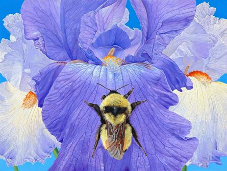 Rick Pas, ‘Iris with Bumble Bee’, 2017