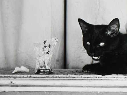 Katy Grannan, ‘San Gabriel and the Black Cat, Modesto, CA’, 2017
