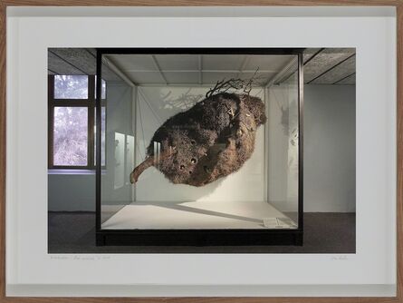 Lien Botha, ‘Sociable Weaver's Nest, South African Museum, Cape Town’, 2009