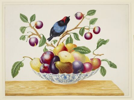Maria Sibylla Merian, ‘Still life with fruit and Blue-Backed Manakin’, ca. 1705
