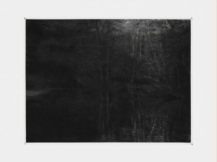 Renie Spoelstra, ‘Reflected Forest in Pond’, 2015
