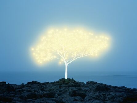 Lee Jeonglok, ‘Tree of Life in Island 5-1-4’, 2013