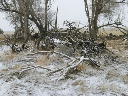 Andrew Moore, ‘Buckboard Wagon, Sheridan County, Nebraska’, 2013