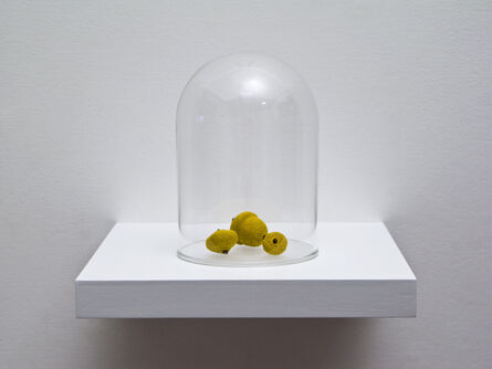 Esther Traugot, ‘Seed Dome (Pin Oak Acorn)’, 2017
