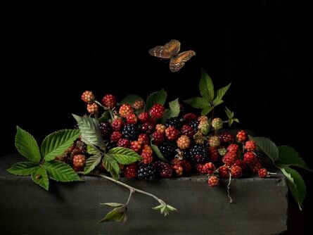 Paulette Tavormina, ‘Blackberries and Butterfly, After A.C.’, 2015