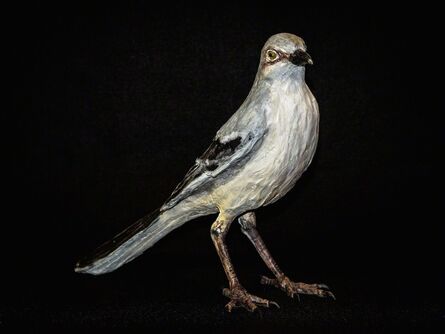 Nall, ‘Mockingbird’, 2015
