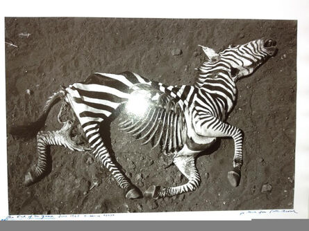 Peter Beard, ‘Zebra (The End of the Game, 1960)’, 1989