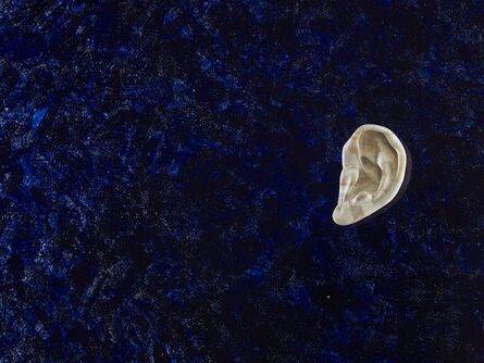 Jan Fabre, ‘Untitled (Bone Ear)’, 1988