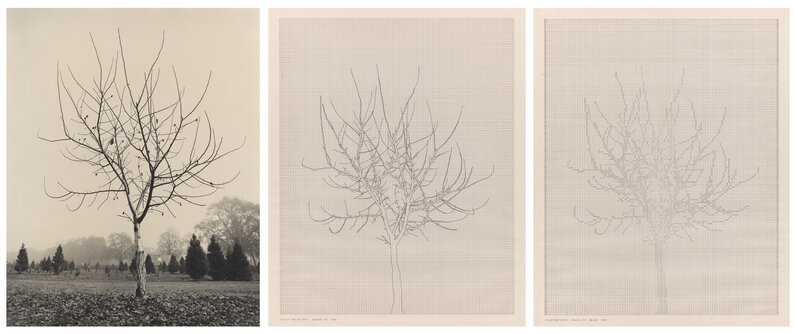 Charles Gaines, ‘Walnut Tree Orchard, Set A’, 1977, Drawing, Collage or other Work on Paper, Ink and gelatin silver print on paper, San Francisco Museum of Modern Art (SFMOMA) 