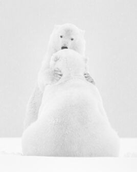 Kyriakos Kaziras, ‘Le Slow’, 2015