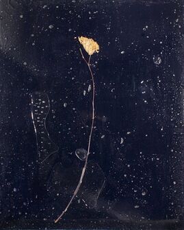 Barbara Salvucci, ‘Nera battesimale’, 2010