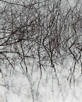 Min Byung-hun, ‘LS 022’, 2015