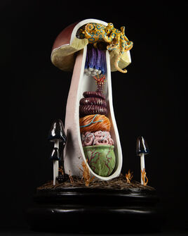 Christophe Gilland, ‘Boletus Edulis with Blue Ringed Octopus’, 2023