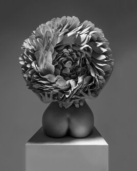 Aaron McPolin, ‘Crescent’, 2023