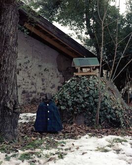 Käthe Hager Von Strobele, ‘Hauskleid“ from the series „Outdoor-Bereich“’, 2014