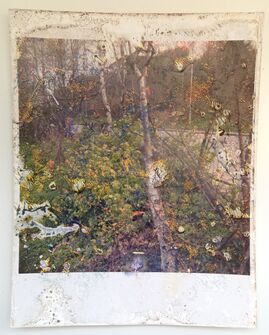 Stephen Gill, ‘Untitled, from the series "Buried"’, 2007