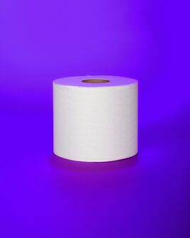 Neil Winokur, ‘Toilet Paper’, 2015