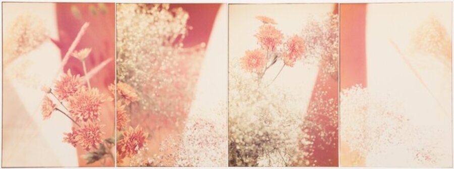 Untitled (4 works)