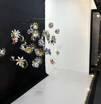 Leslie Laskey: Snow Cluster, installation view