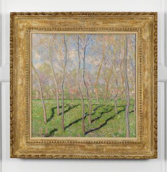 Van Gogh in Paris, installation view