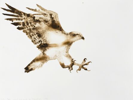 Alexis Rockman, ‘Osprey (Pandion haliaetus)’, 2014