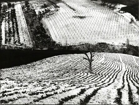 Mario Giacomelli, ‘Paesaggio 283; Metamorphosis of the Land’, 1968